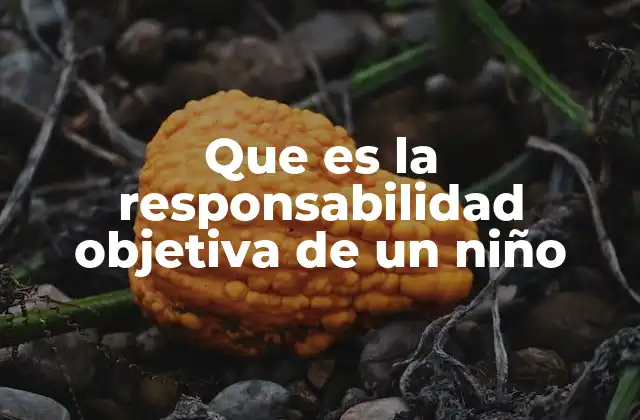 Que es la Responsabilidad Objetiva de un Niño