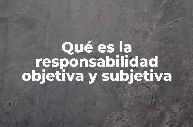 Qué es la Responsabilidad Objetiva y Subjetiva 2 La distinción entre responsabilidad subjetiva y objetiva