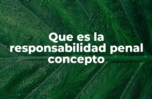 Que es la Responsabilidad Penal Concepto