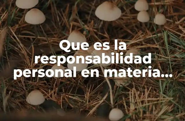 Que es la Responsabilidad Personal en Materia Fiscal