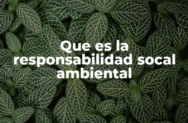 Que es la Responsabilidad Socal Ambiental