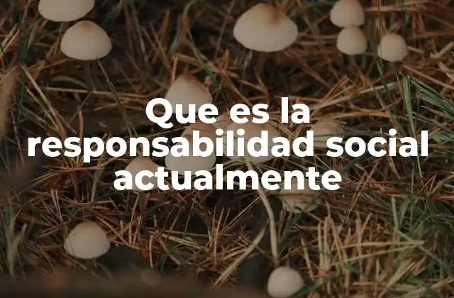 Que es la Responsabilidad Social Actualmente