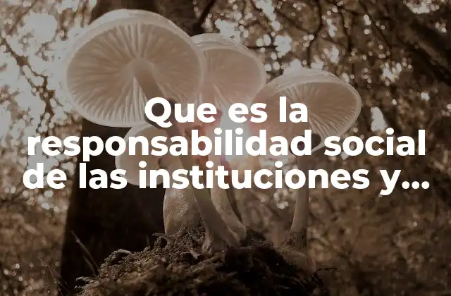 Que es la Responsabilidad Social de las Instituciones y Organizaciones
