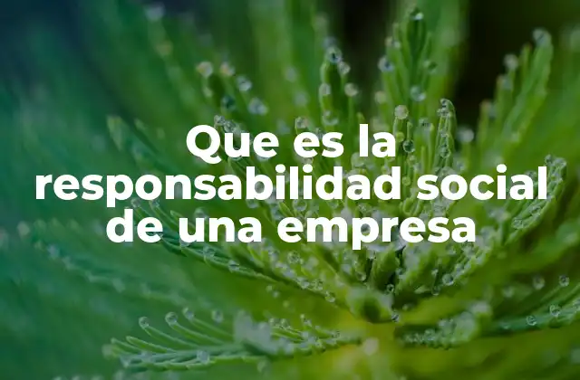 Que es la Responsabilidad Social de una Empresa