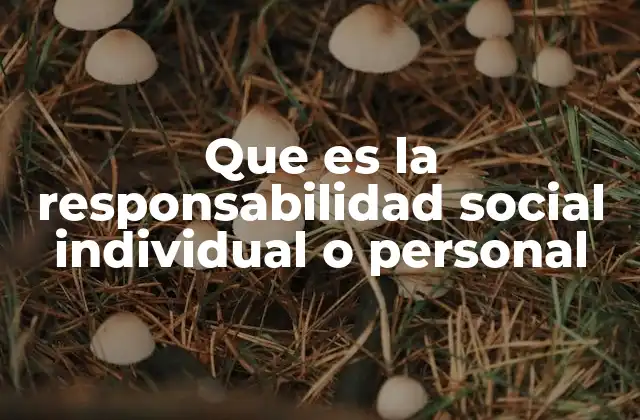 Que es la Responsabilidad Social Individual o Personal