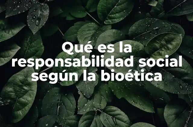 Qué es la Responsabilidad Social según la Bioética