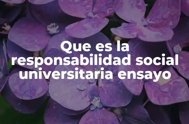 Que es la Responsabilidad Social Universitaria Ensayo