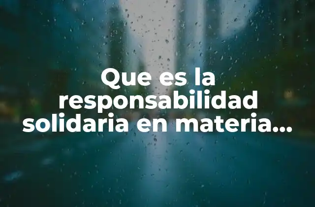 Que es la Responsabilidad Solidaria en Materia Laboral 2 Cómo surge la responsabilidad solidaria en el entorno laboral