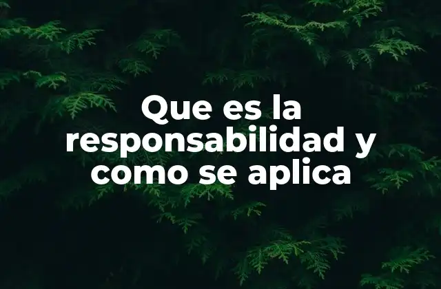 Que es la Responsabilidad y como Se Aplica