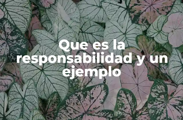 La importancia de actuar con consciencia y compromiso