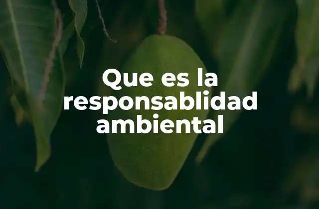 Que es la Responsablidad Ambiental