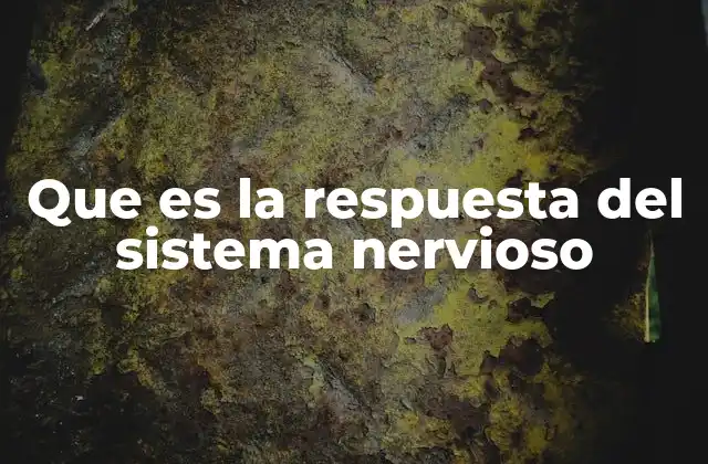 El proceso detrás de la acción neuronal
