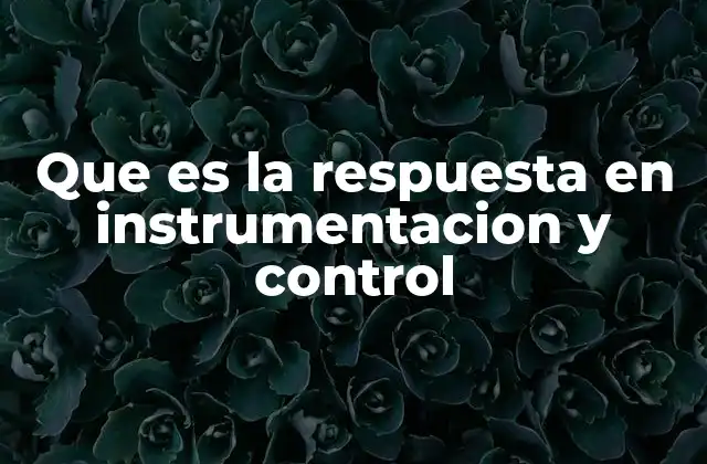 Que es la Respuesta en Instrumentacion y Control