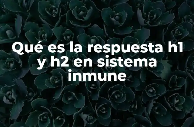 El papel de las células T en la regulación inmune