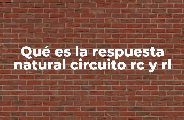 Qué es la Respuesta Natural Circuito Rc y Rl