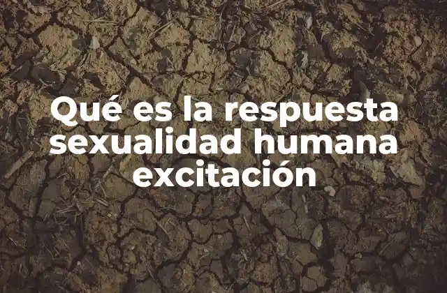 Qué es la Respuesta Sexualidad Humana Excitación 2 El proceso fisiológico detrás de la respuesta sexual