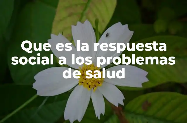 Que es la Respuesta Social a los Problemas de Salud