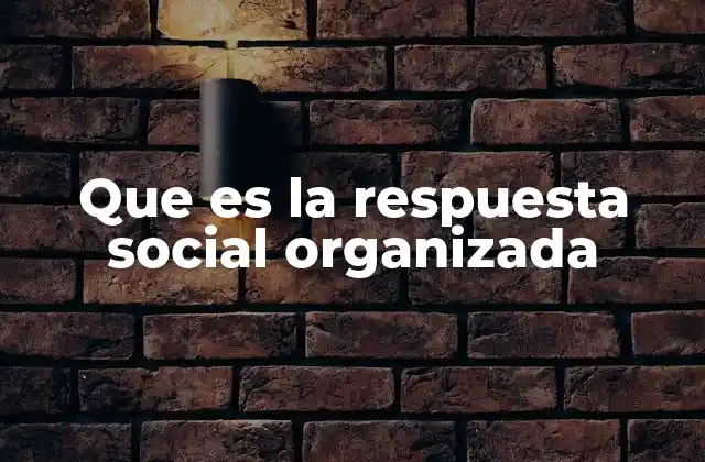 Que es la Respuesta Social Organizada