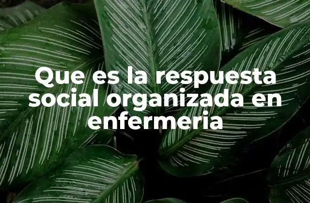 Que es la Respuesta Social Organizada en Enfermeria