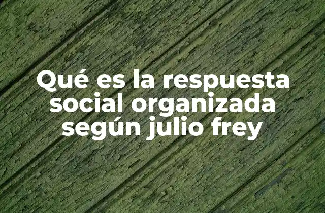 Qué es la Respuesta Social Organizada según Julio Frey