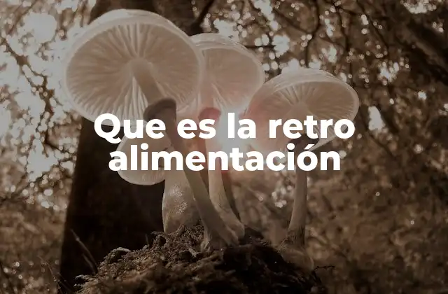 Que es la Retro Alimentación
