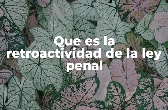 Que es la Retroactividad de la Ley Penal