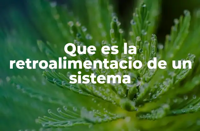 Que es la Retroalimentacio de un Sistema