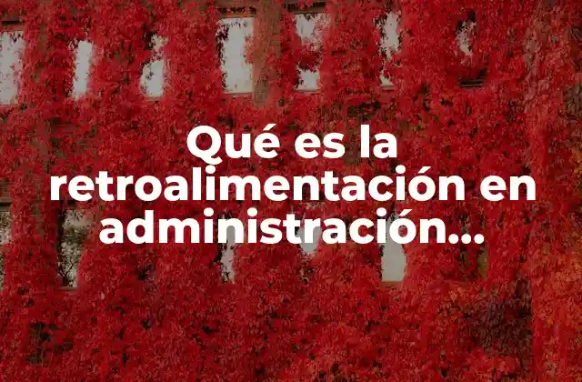 Qué es la Retroalimentación en Administración Ejemplo