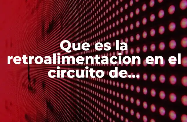 Que es la Retroalimentacion en el Circuito de Comunicacion