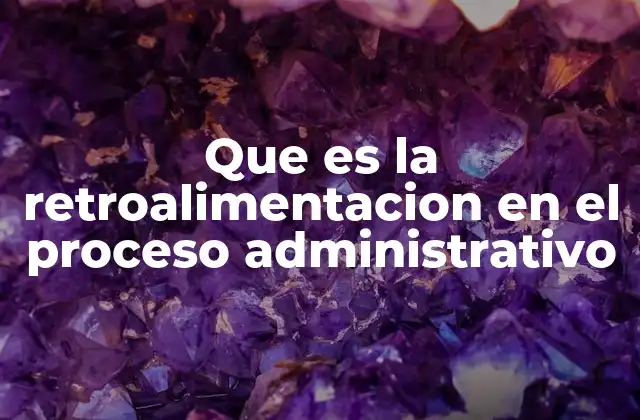 Que es la Retroalimentacion en el Proceso Administrativo