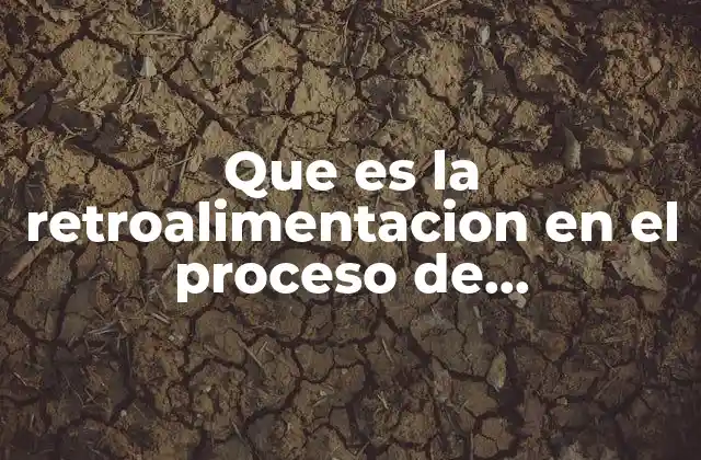 Que es la Retroalimentacion en el Proceso de Comunicacion