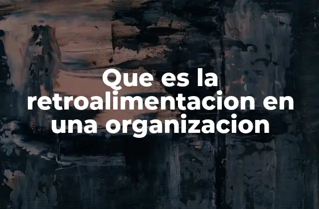 Que es la Retroalimentacion en una Organizacion