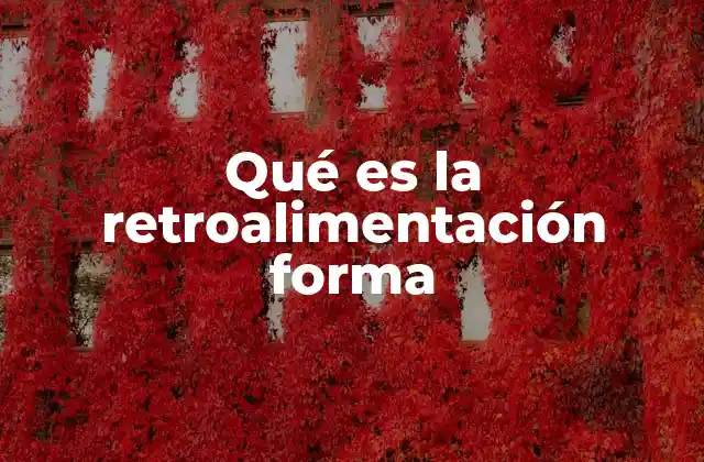 Qué es la Retroalimentación Forma