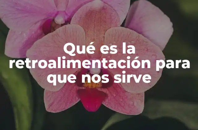 Qué es la Retroalimentación para que Nos Sirve