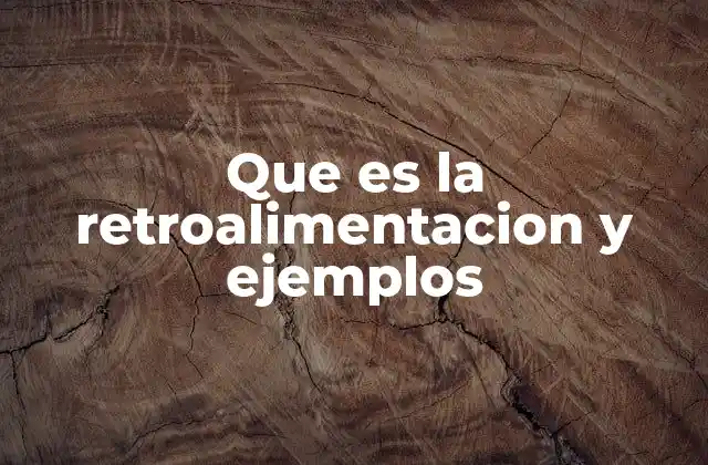 Que es la Retroalimentacion y Ejemplos