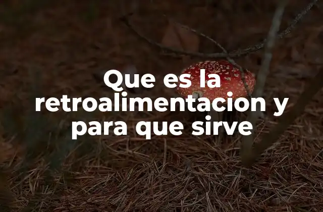 Que es la Retroalimentacion y para que Sirve