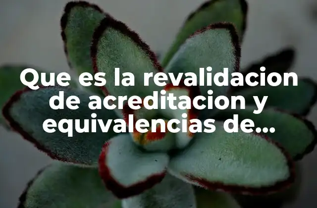 Que es la Revalidacion de Acreditacion y Equivalencias de Estudios