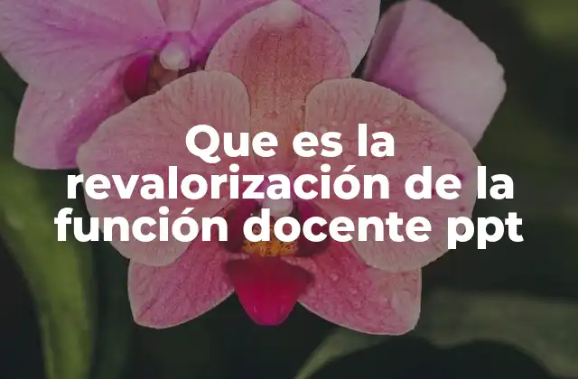 Que es la Revalorización de la Función Docente Ppt