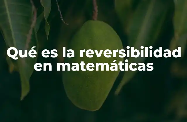 Qué es la Reversibilidad en Matemáticas