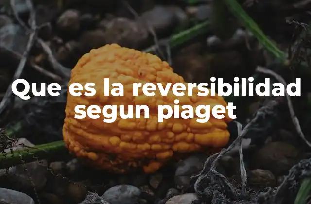 Que es la Reversibilidad Segun Piaget
