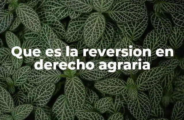 Que es la Reversion en Derecho Agraria