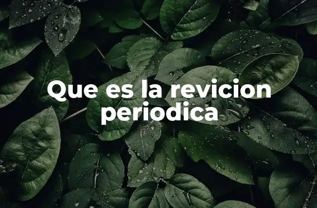 Que es la Revicion Periodica
