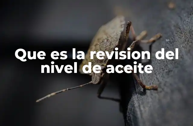 Que es la Revision Del Nivel de Aceite