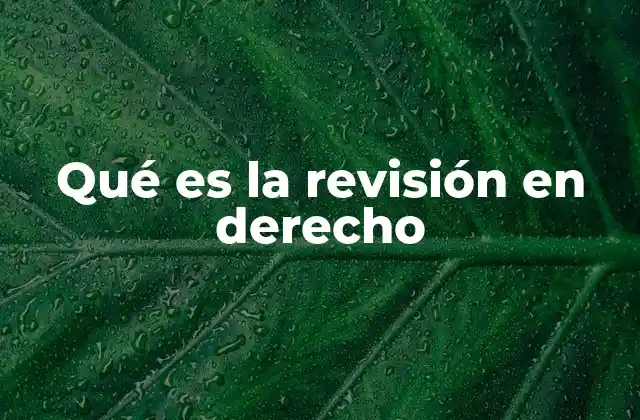 Qué es la Revisión en Derecho