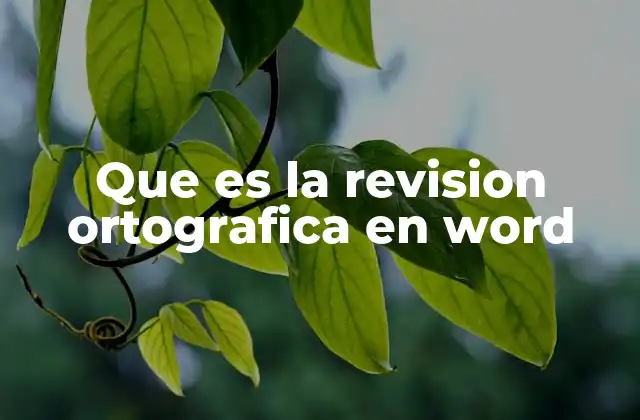 Que es la Revision Ortografica en Word