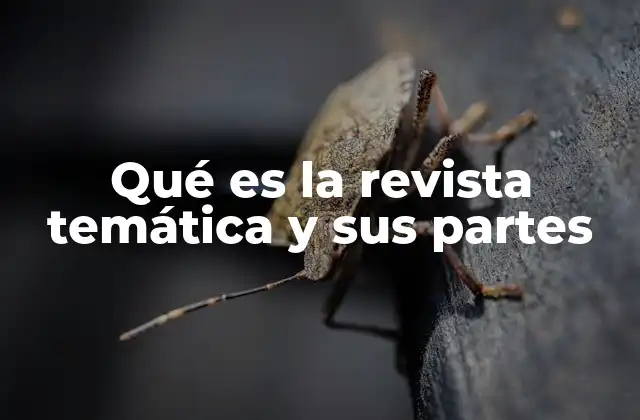 Qué es la Revista Temática y Sus Partes
