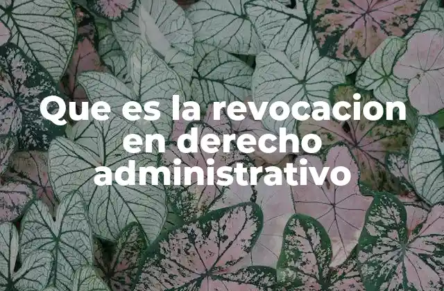 Que es la Revocacion en Derecho Administrativo