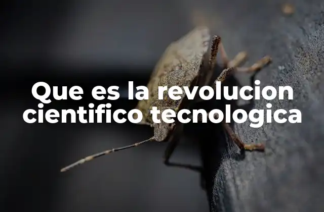 Que es la Revolucion Cientifico Tecnologica