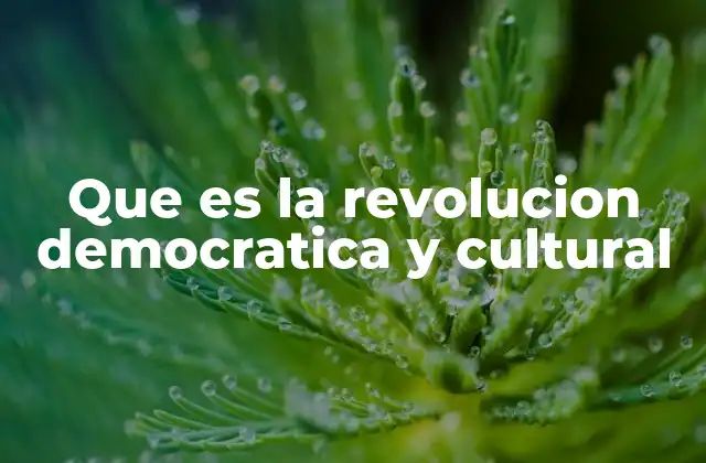 Que es la Revolucion Democratica y Cultural