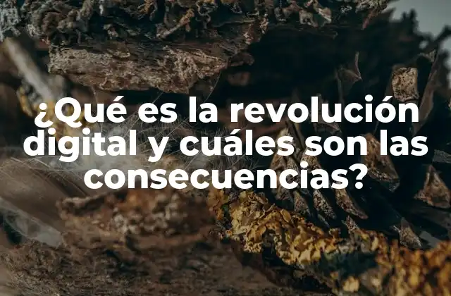 ¿qué es la Revolución Digital y Cuáles Son las Consecuencias?